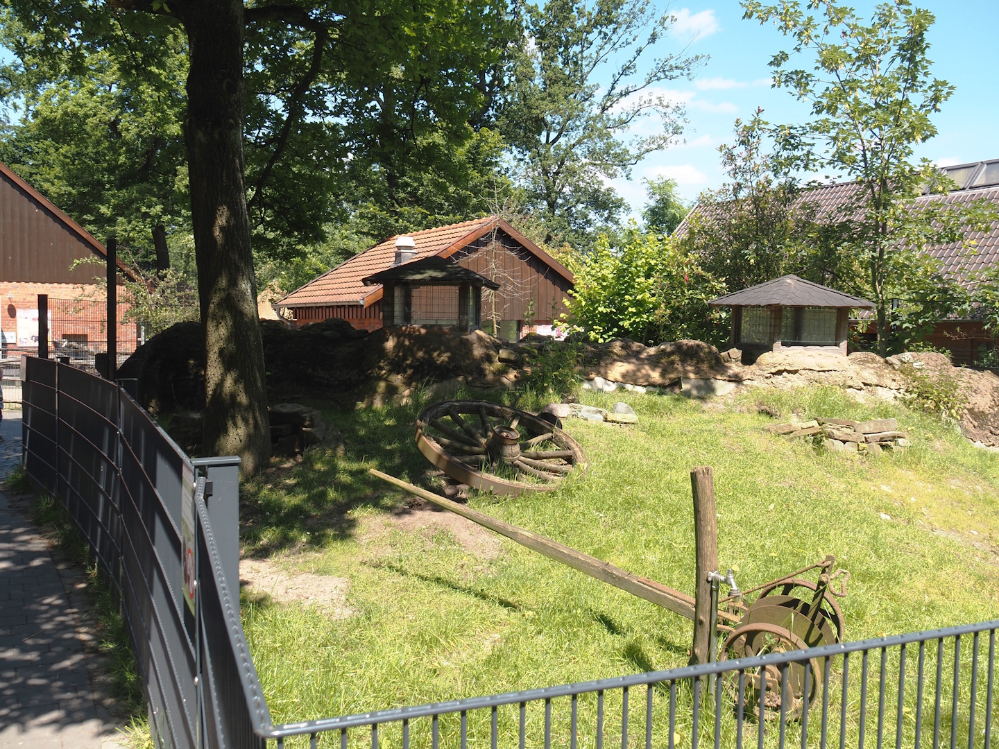 Farm area - Meißner Widderkaninchen/Meissner lop rabbit exhibit with tunnel for children, 2024-06-08