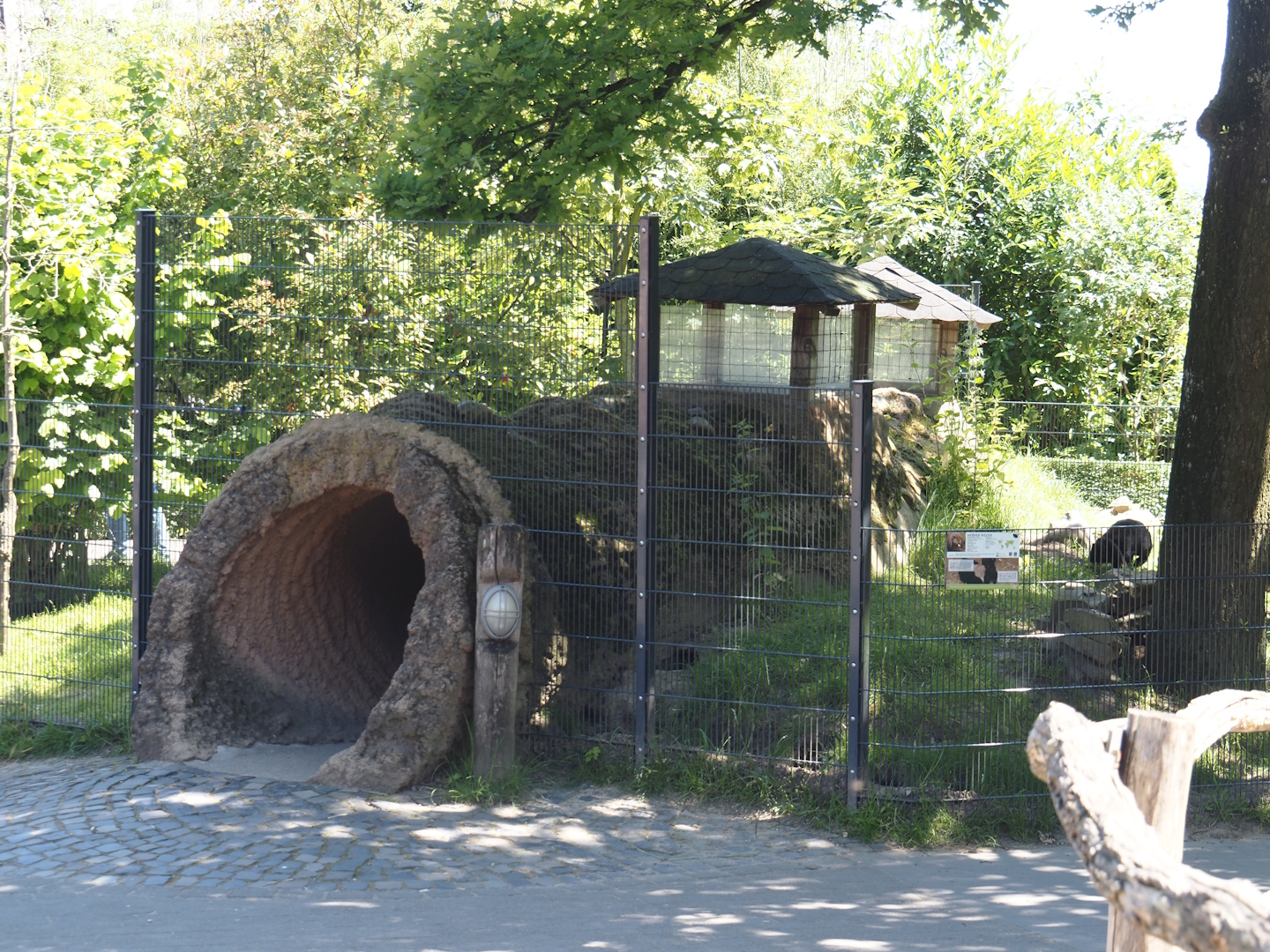 Farm area - Meißner Widderkaninchen/Meissner lop rabbit exhibit with tunnel for children, 2024-06-08