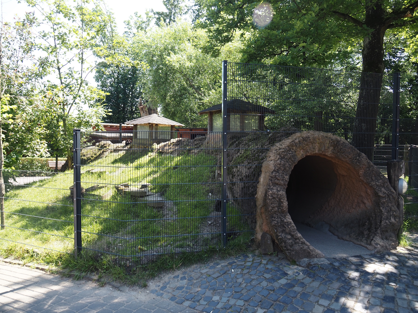 Farm area - Meißner Widderkaninchen/Meissner lop rabbit exhibit with tunnel for children, 2024-06-08