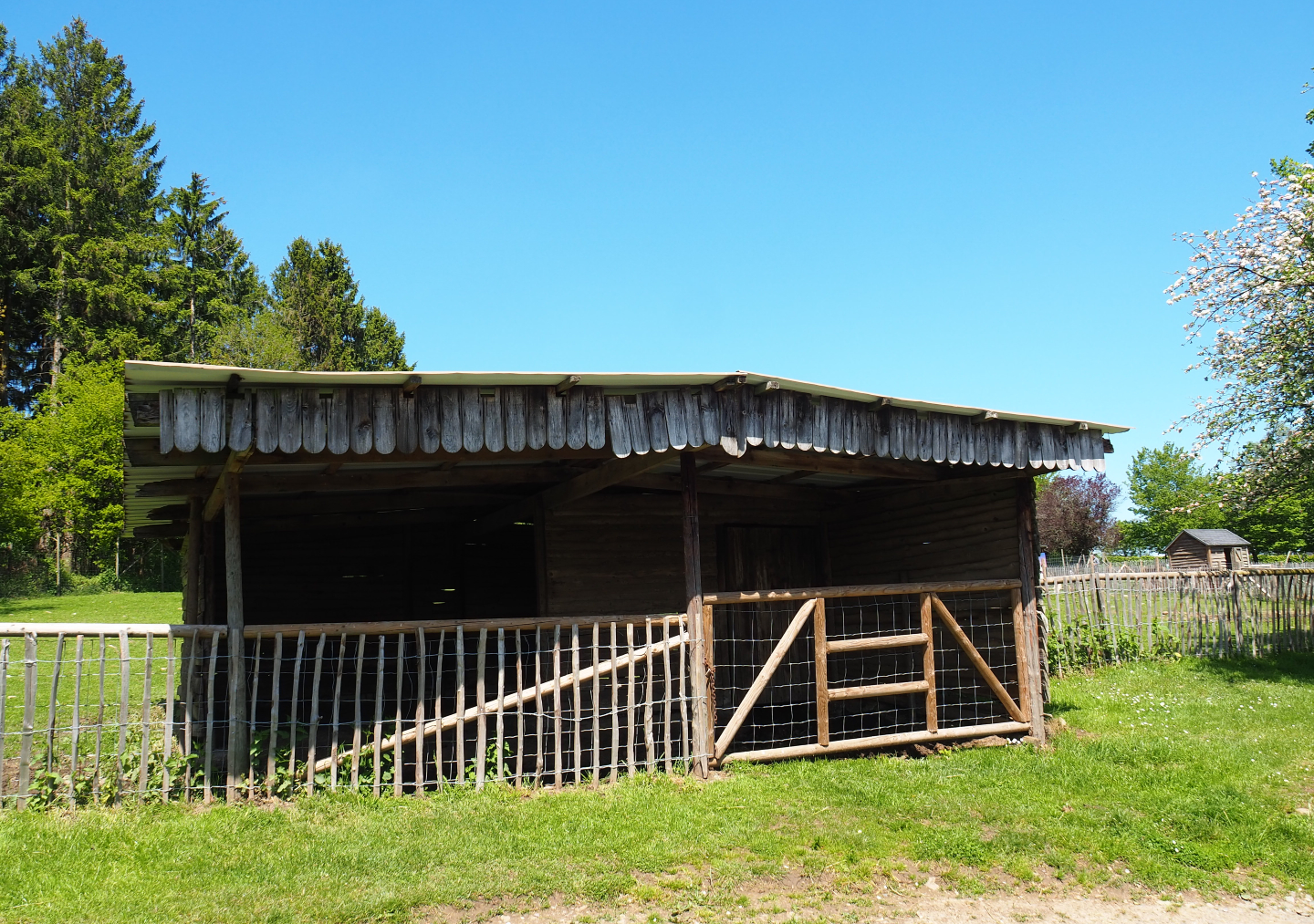 Farm area - Pony and Domestic sheep barn, 2021-05-29