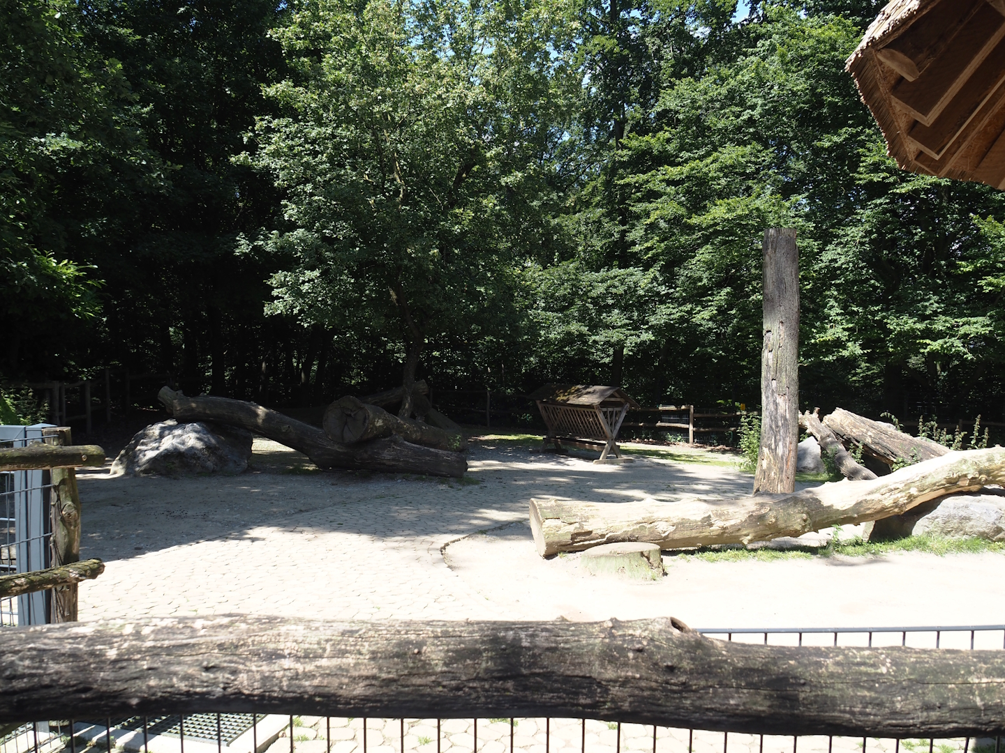 Farm area - Pygmy goat and Cameroon sheep paddock, 2024-06-08