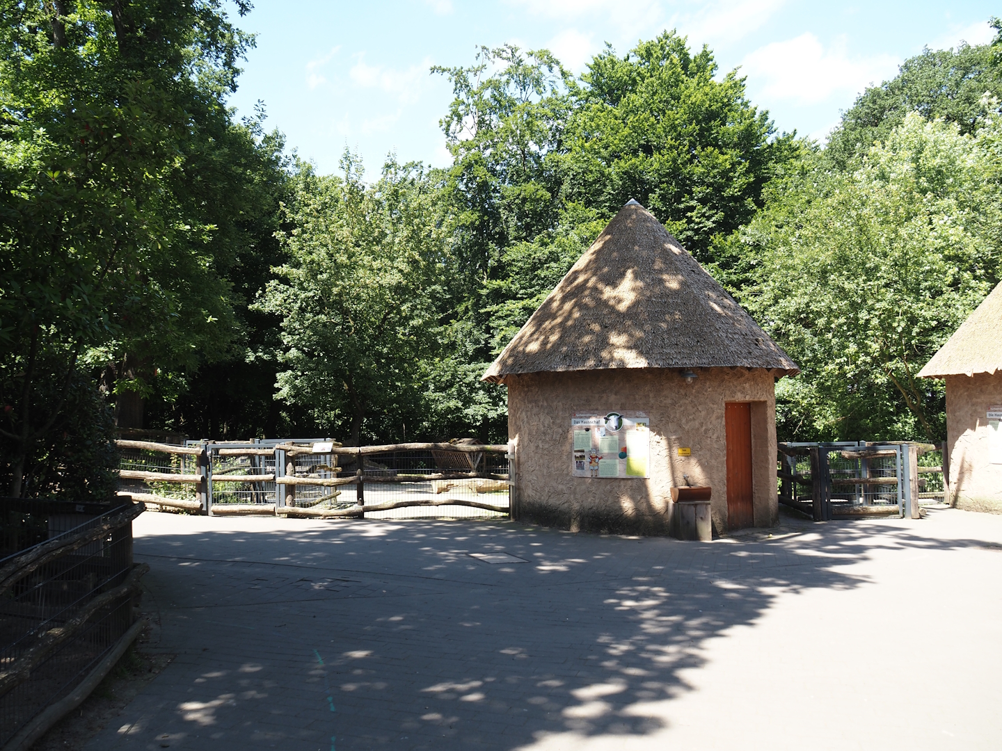 Farm area - Pygmy goat and Cameroon sheep paddock and barn, 2024-06-08