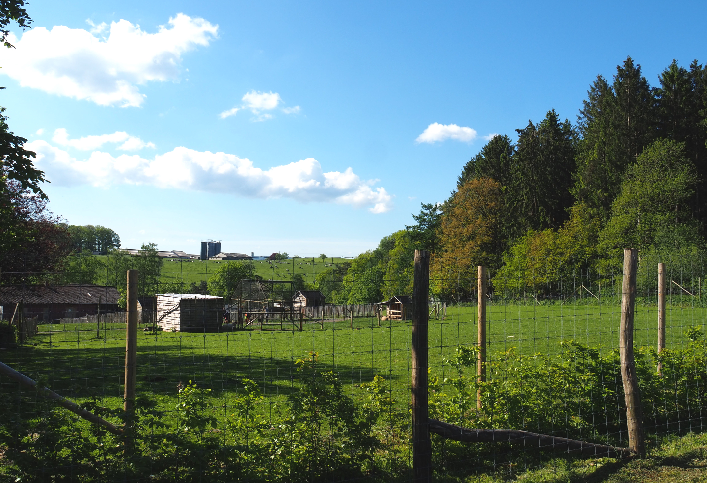 Farm area seen from the parking lot, 2021-05-29