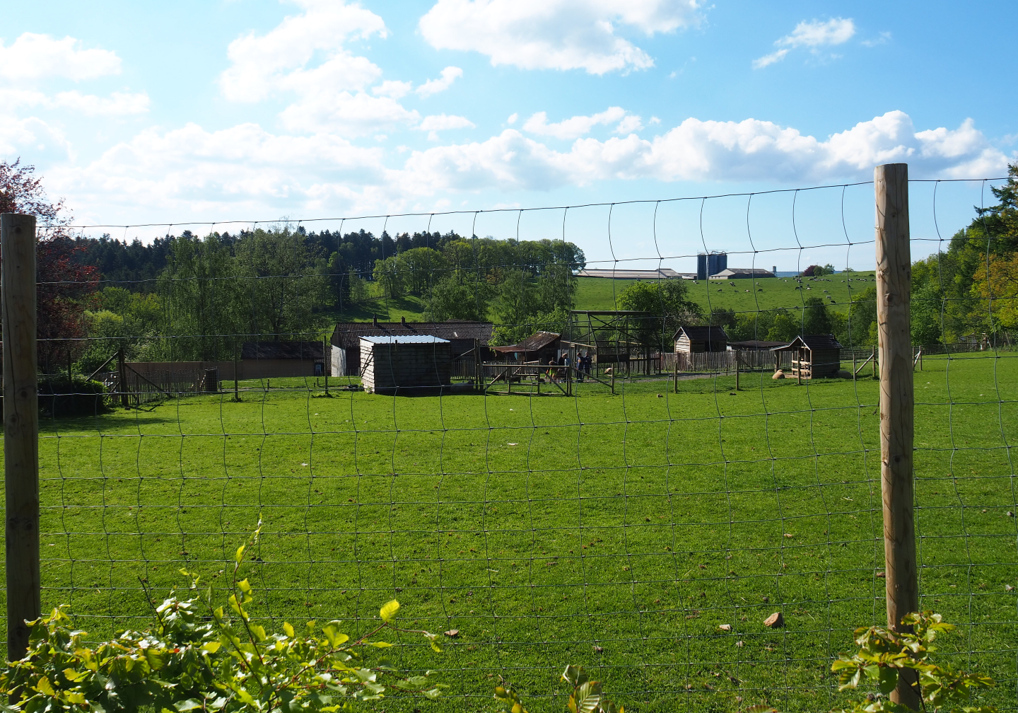 Farm area seen from the parking lot, 2021-05-29
