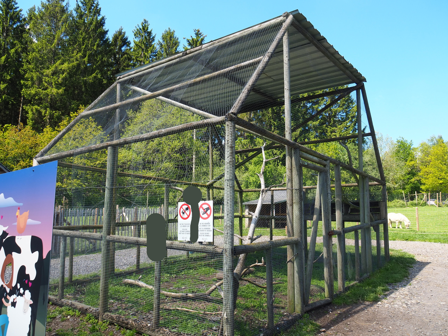 Farm area - Turkey aviary, 2021-05-29
