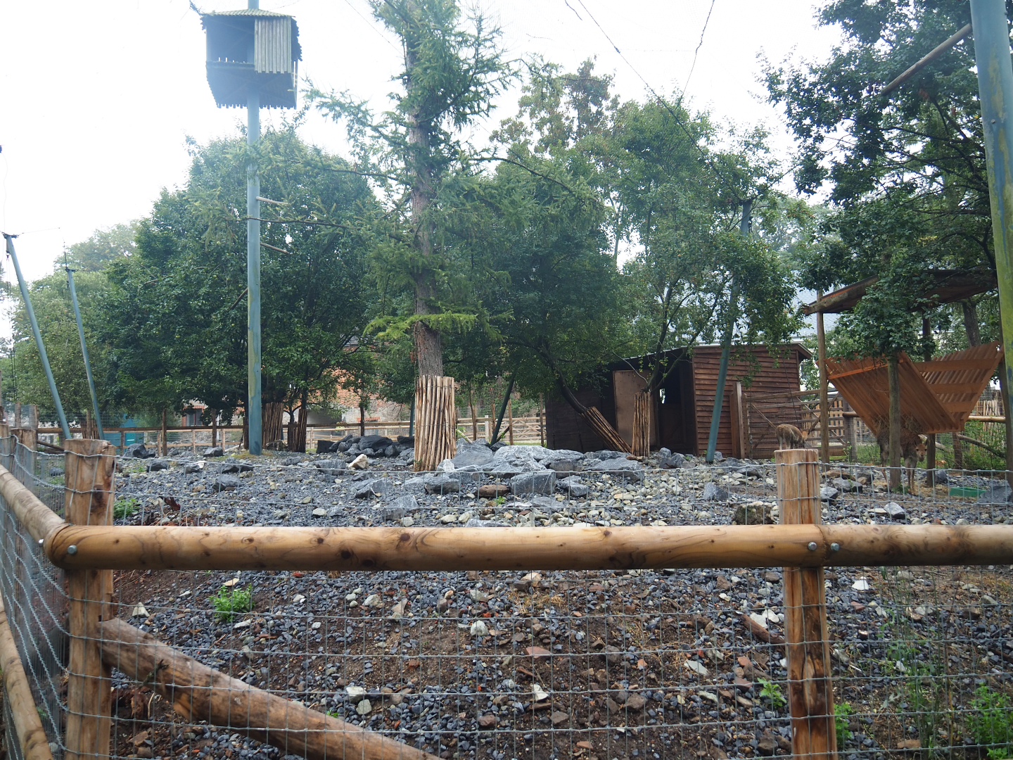 Farm area - Vicuña paddock on site of demolished vulture aviary, 2022-09-14