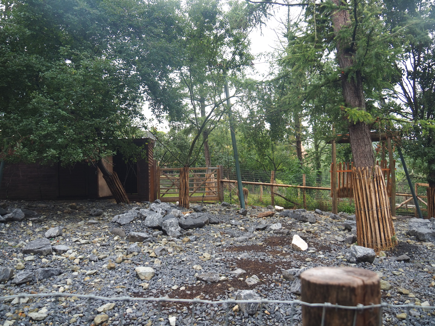 Farm area - Vicuña paddock on site of demolished vulture aviary, 2022-09-14