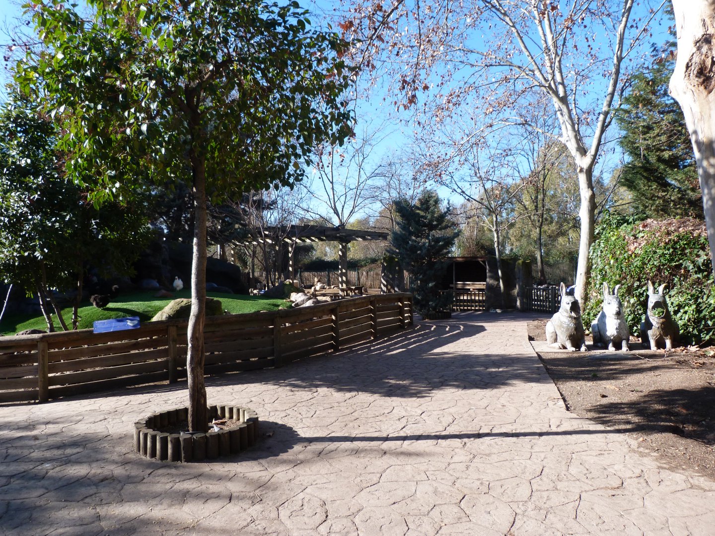 Farm area view -Faunia (2025)