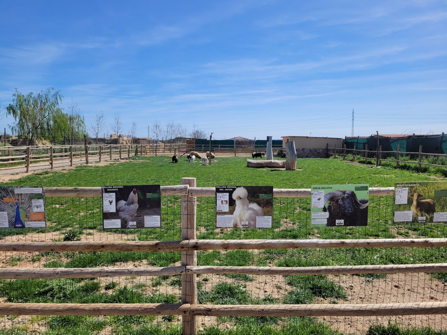 Farm exhibit -Tierra Rapaz (2024)