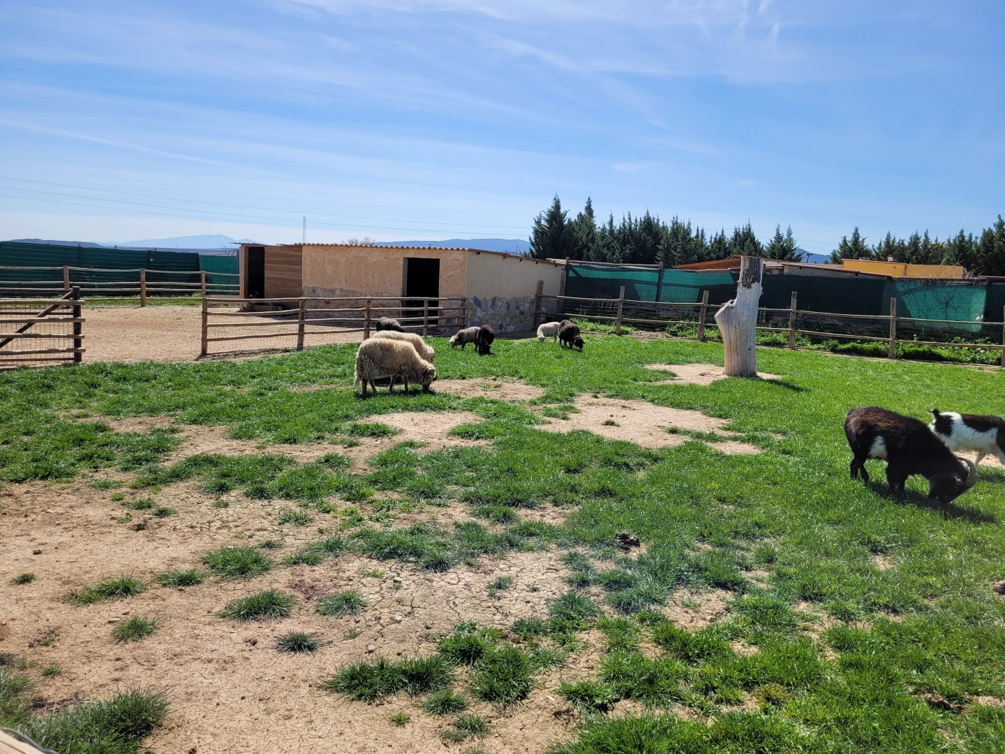 Farm exhibit -Tierra Rapaz (2024)