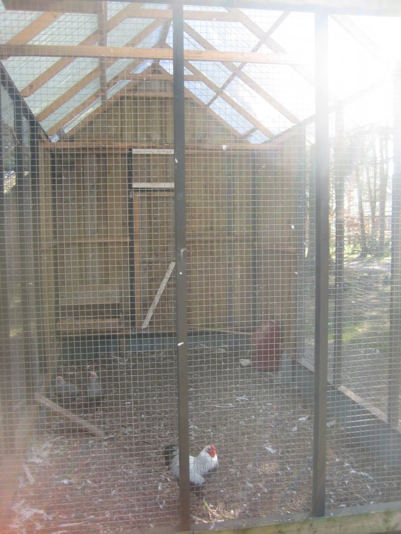 Farm Fun - Chicken aviary