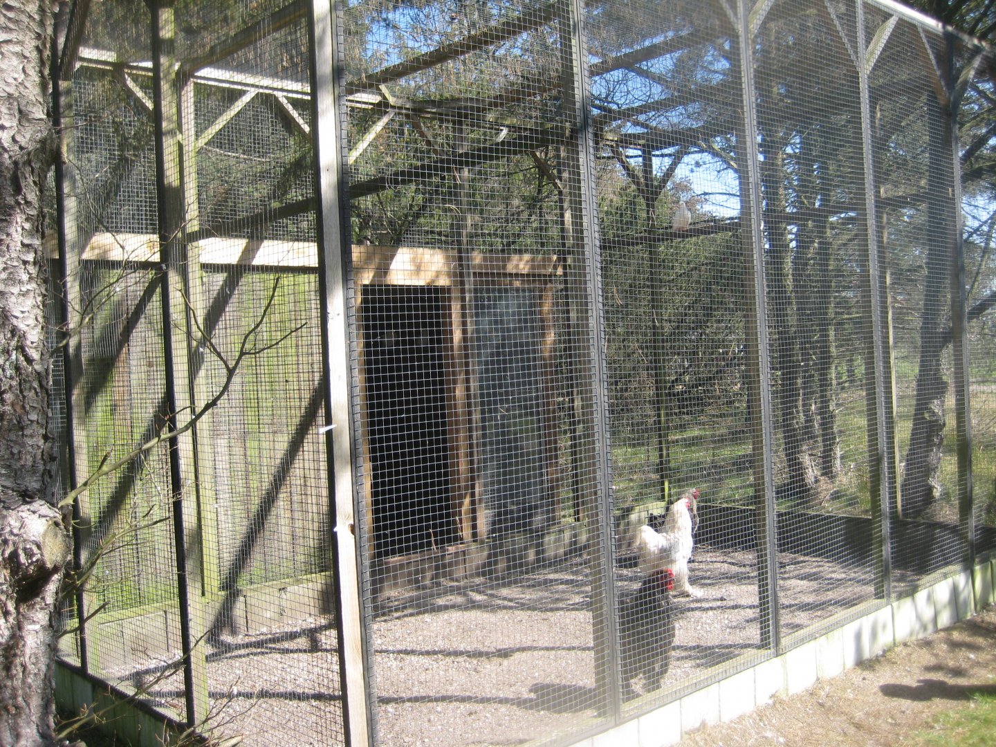 Farm Fun - Chicken aviary