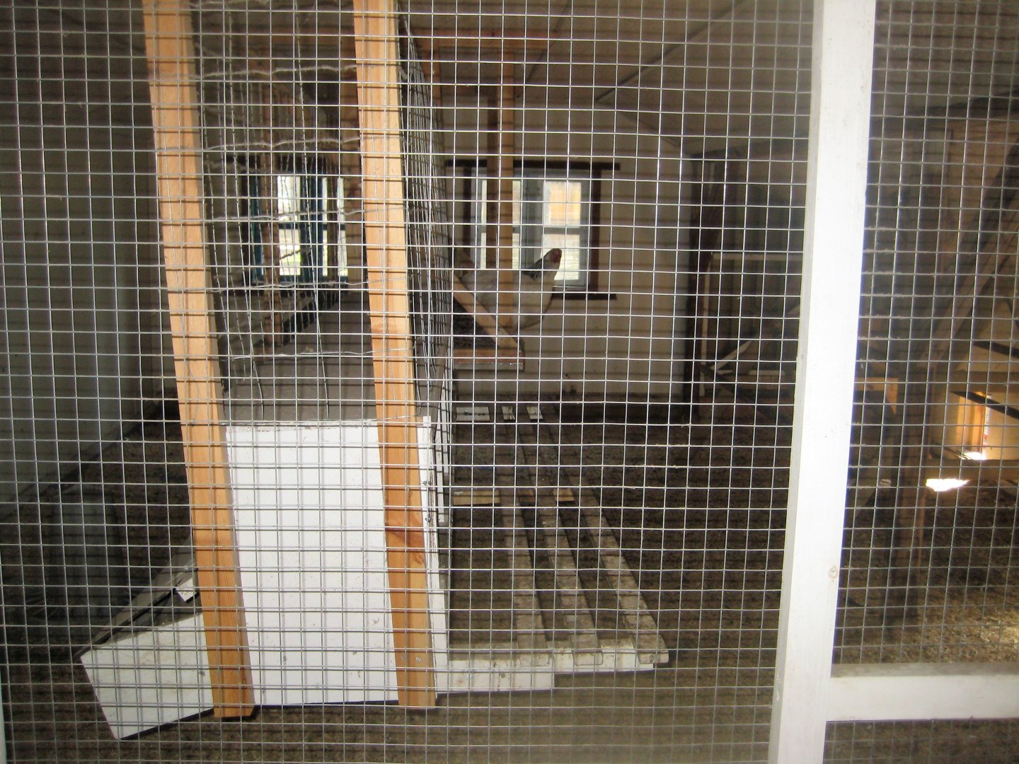 Farm Fun - Chicken coop