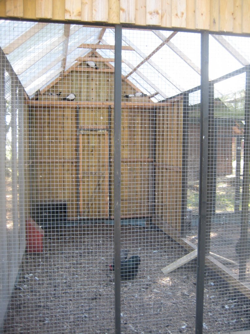 Farm Fun - Chicken/pigeon aviary