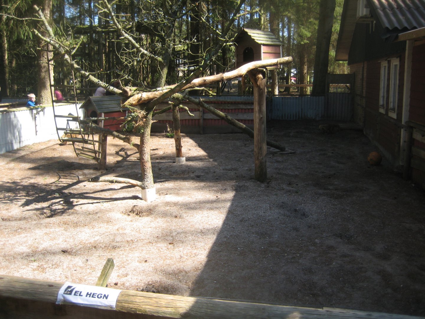 Farm Fun - Coati exhibit (outdoors)