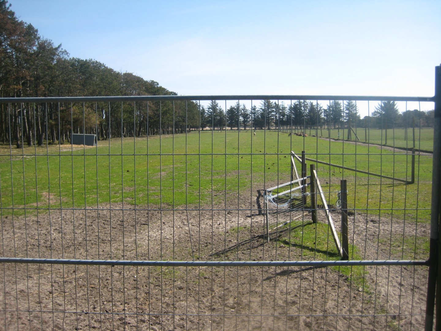 Farm Fun - Deer/mouflon exhibit