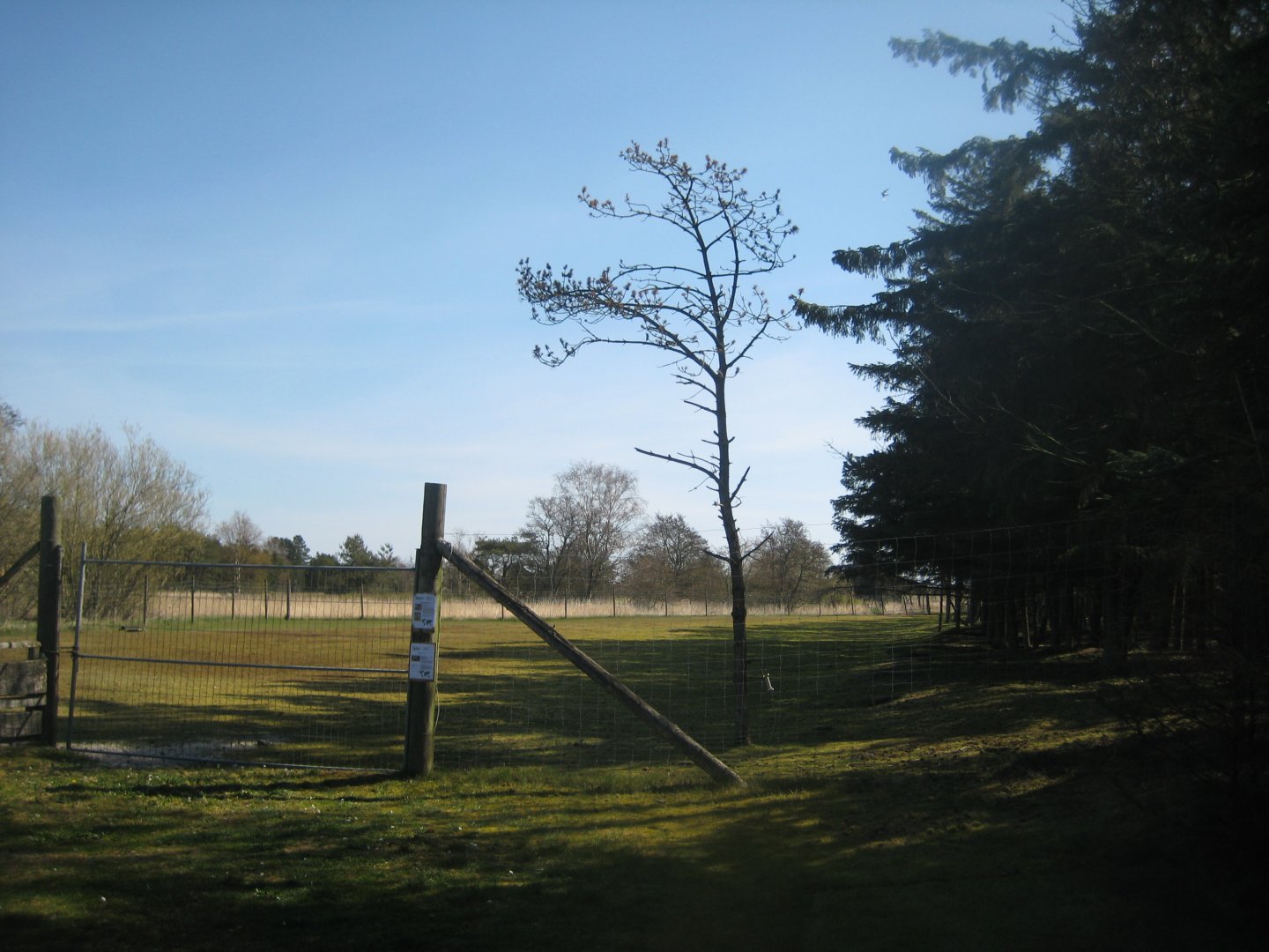 Farm Fun - Deer/mouflon exhibit