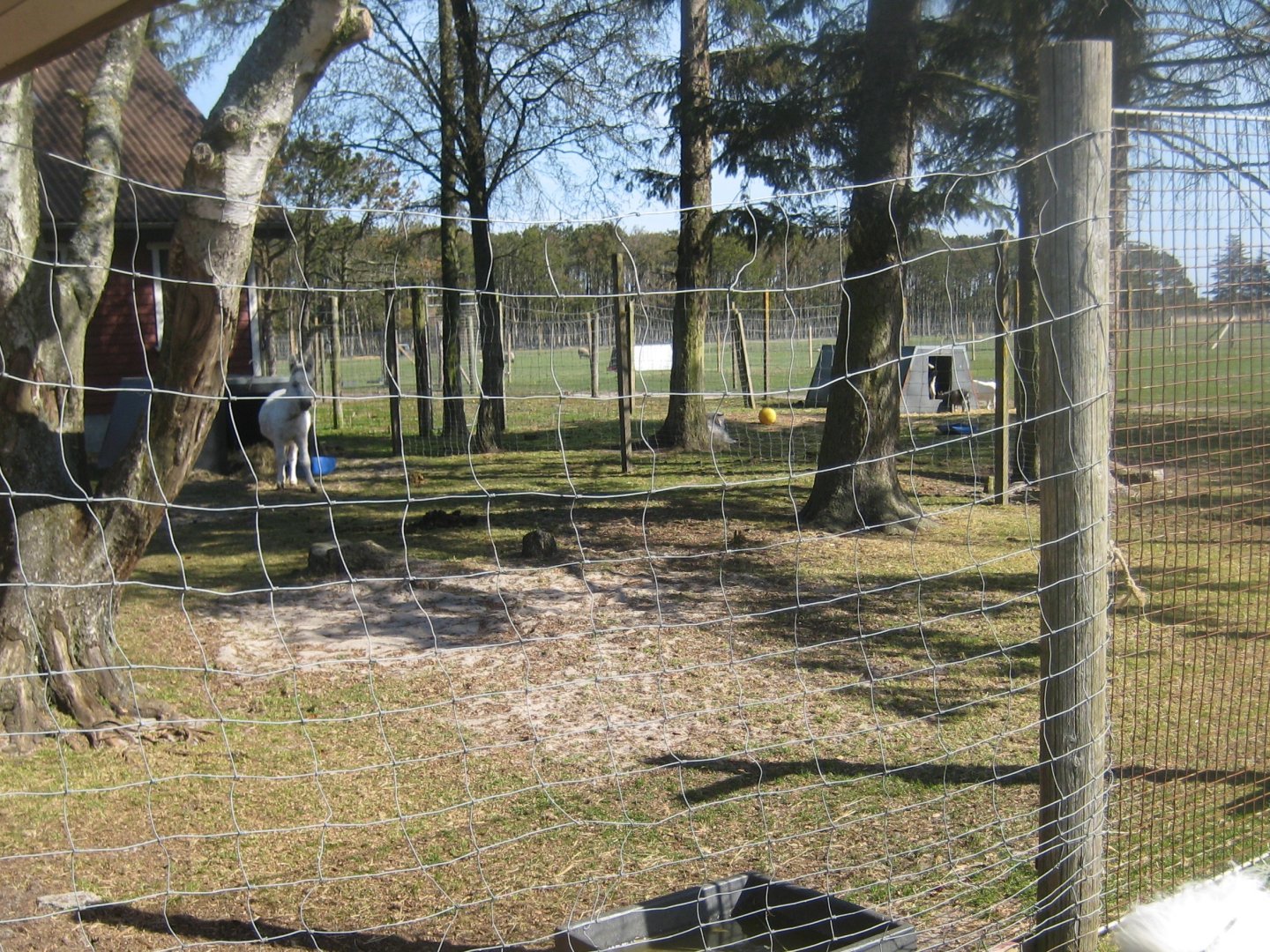 Farm Fun - Donkey exhibit
