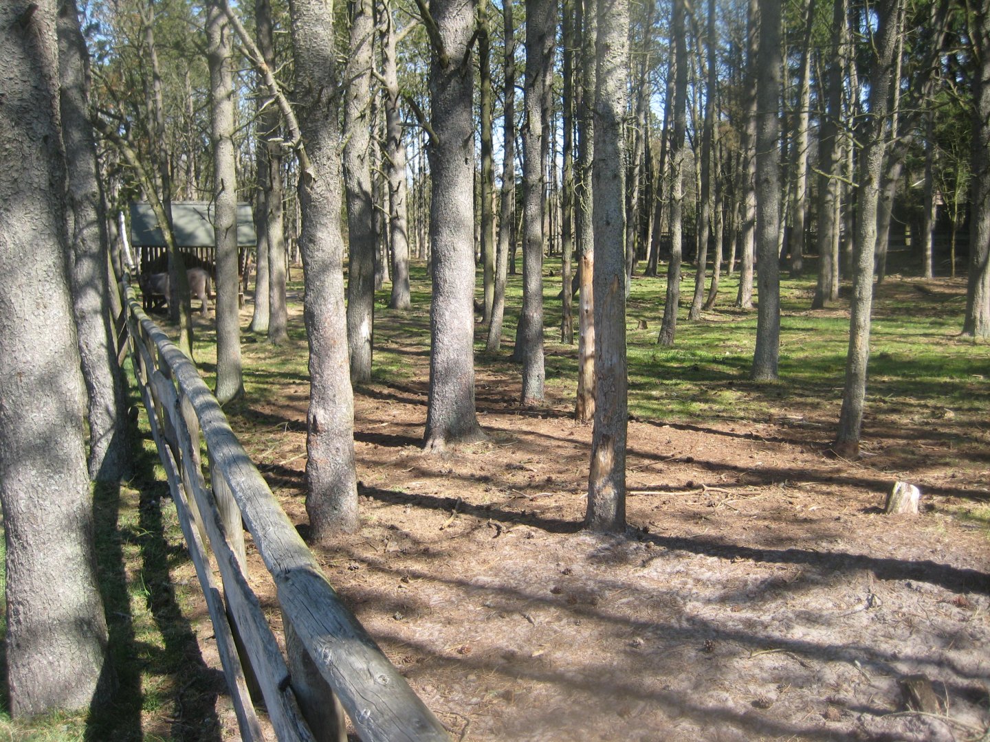 Farm Fun - Donkey exhibit