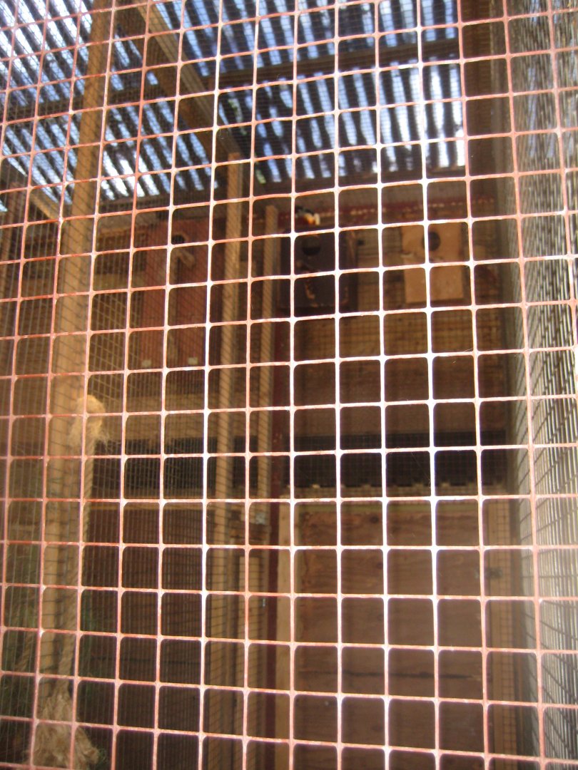 Farm Fun - Example of squirrel exhibit