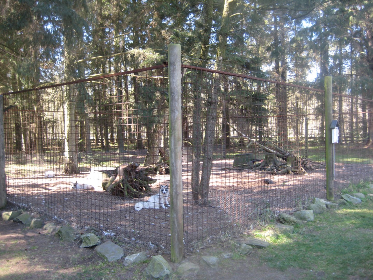 Farm Fun - Fox exhibit