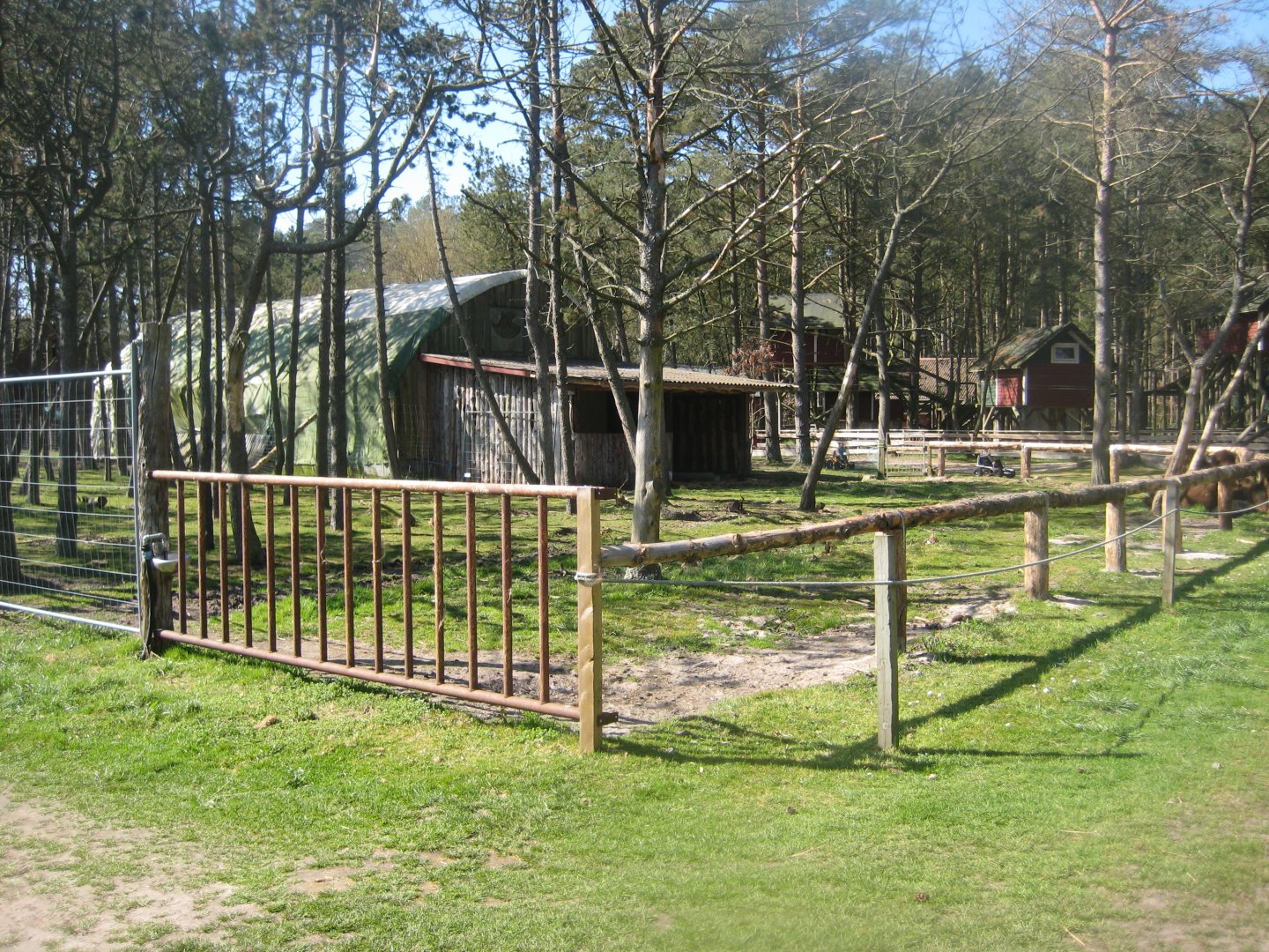 Farm Fun - Llama/camel exhibit