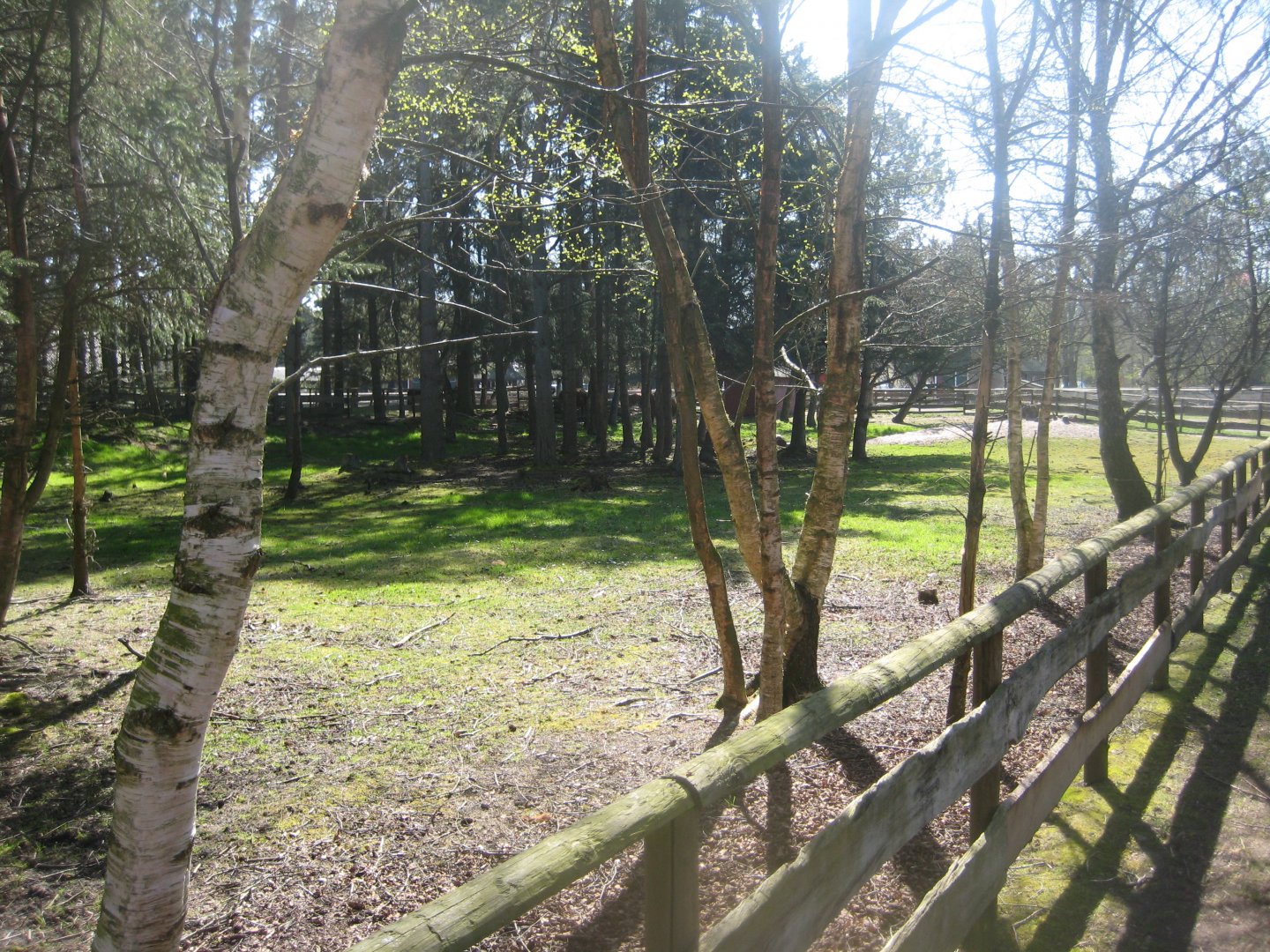 Farm Fun - Llama exhibit