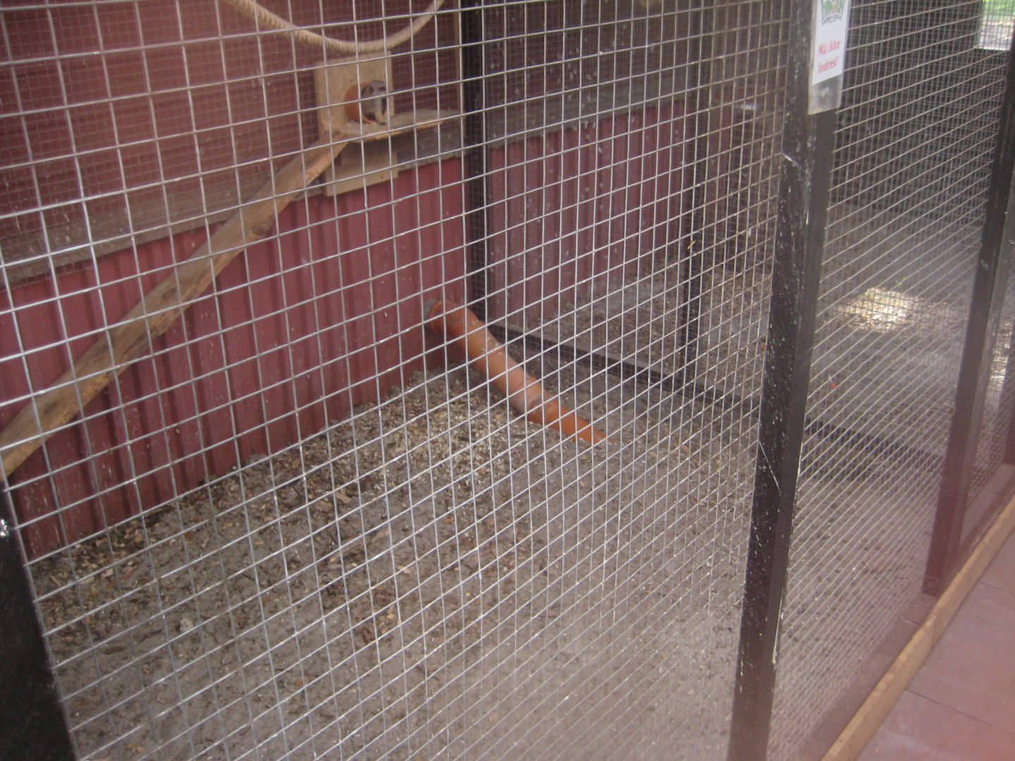 Farm Fun - Meerkat exhibit