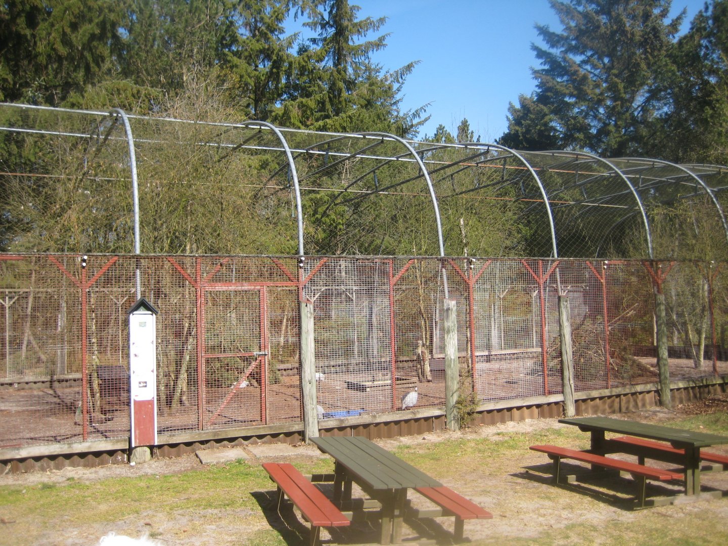 Farm Fun - Peafowl/guineafowl aviary
