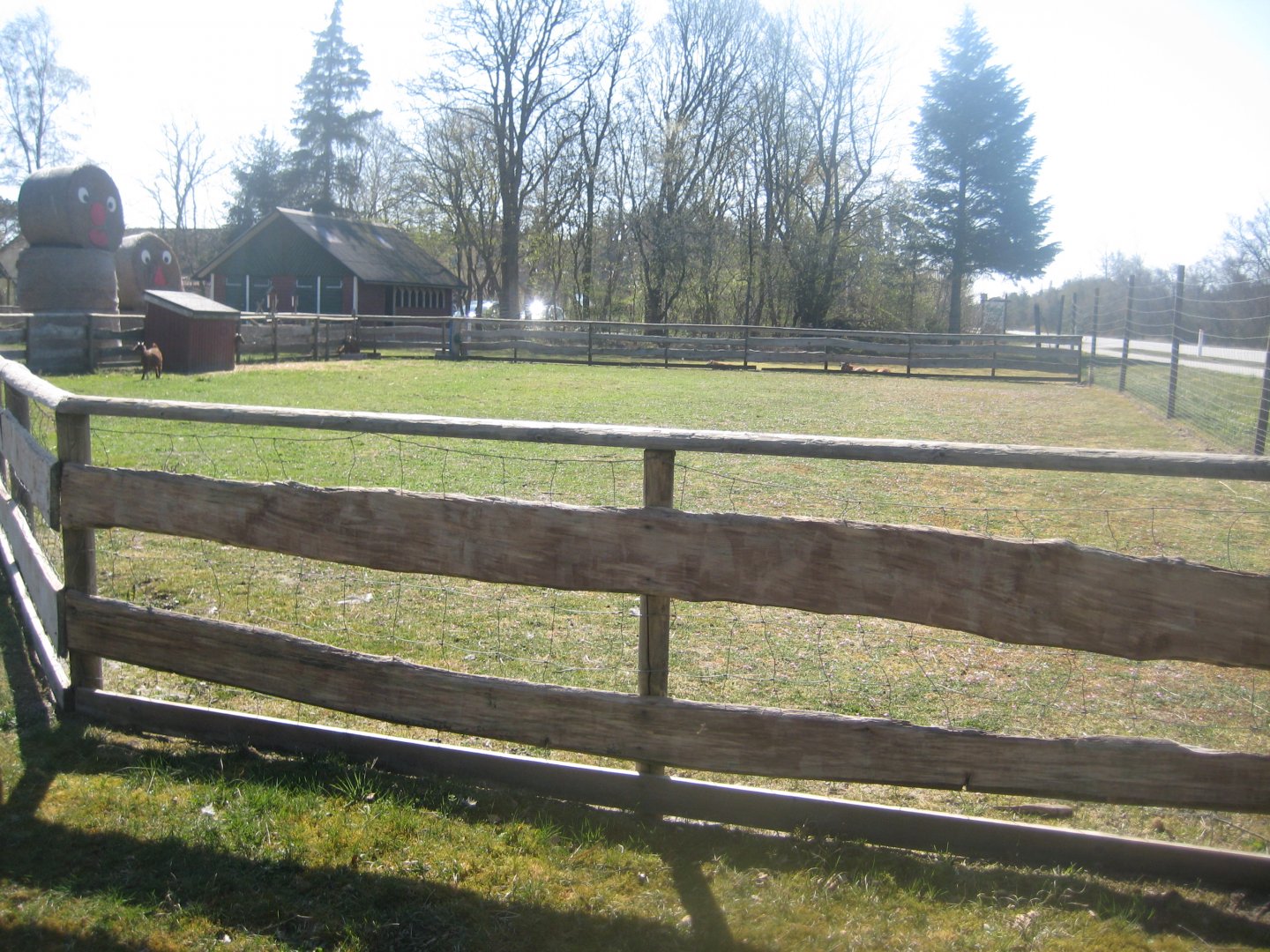 Farm Fun - Petting exhibit #1