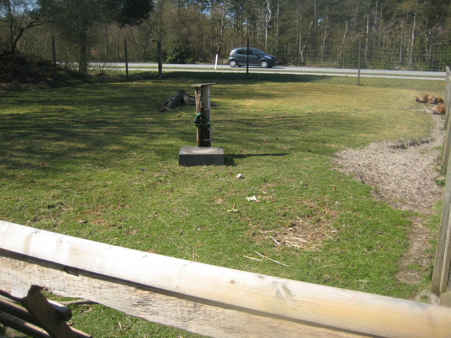 Farm Fun - Petting exhibit #2