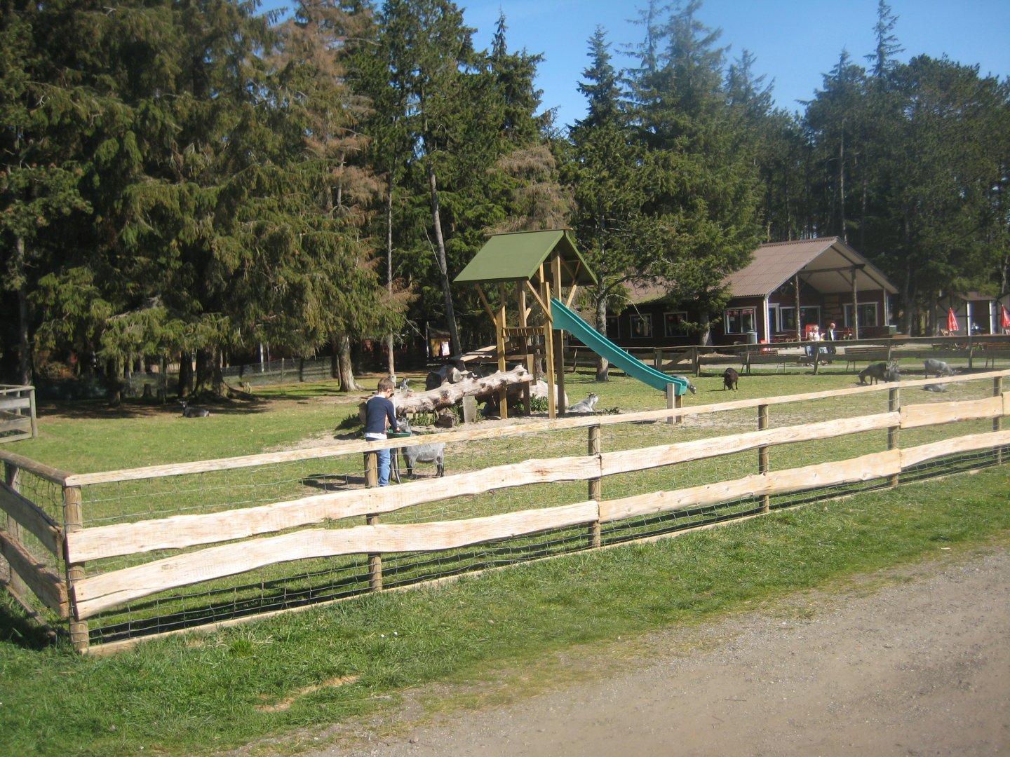 Farm Fun - Petting exhibit #4