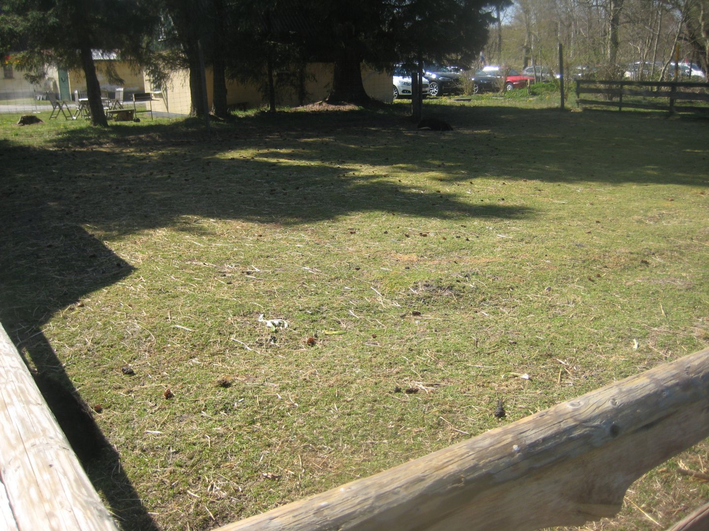 Farm Fun - Petting exhibit #5