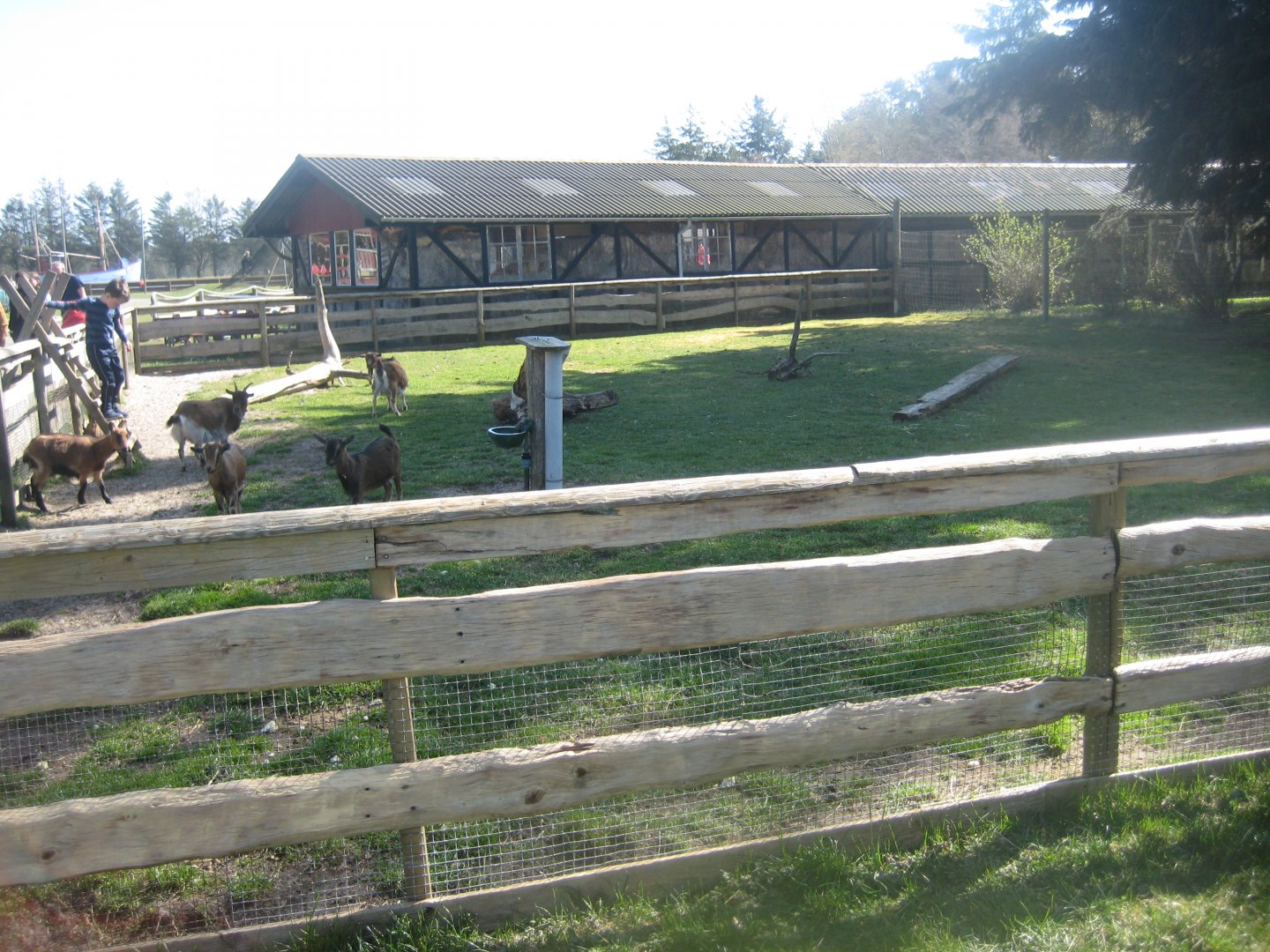 Farm Fun - Petting exhibit #6
