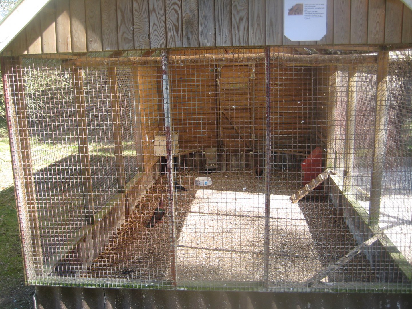 Farm Fun - Pigeon aviary