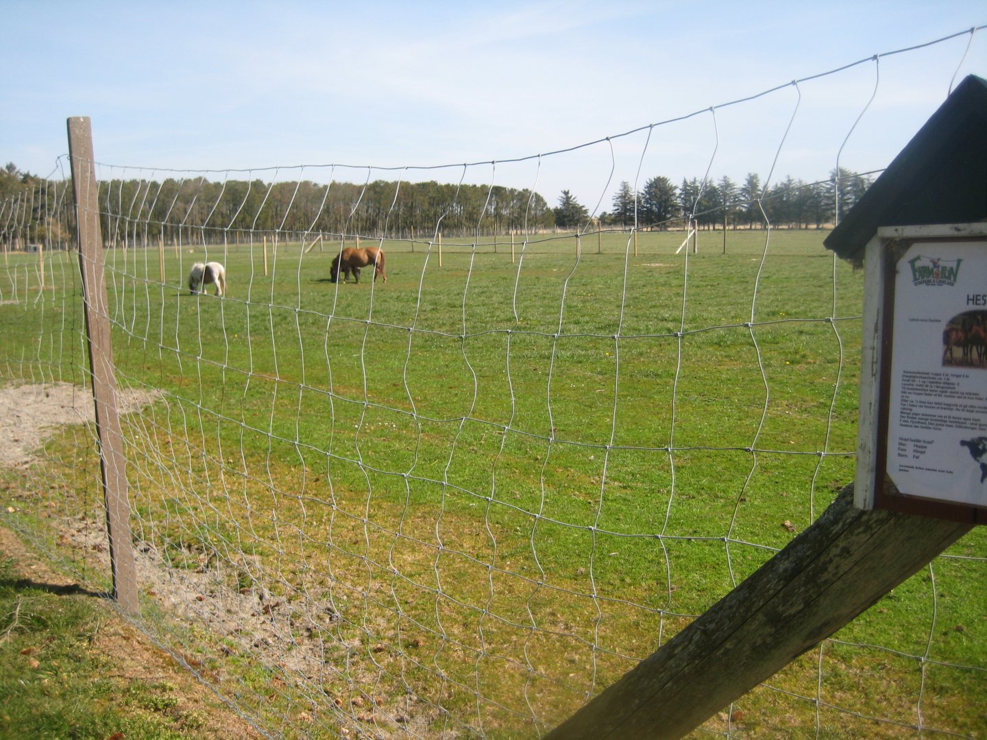 Farm Fun - Pony exhibit