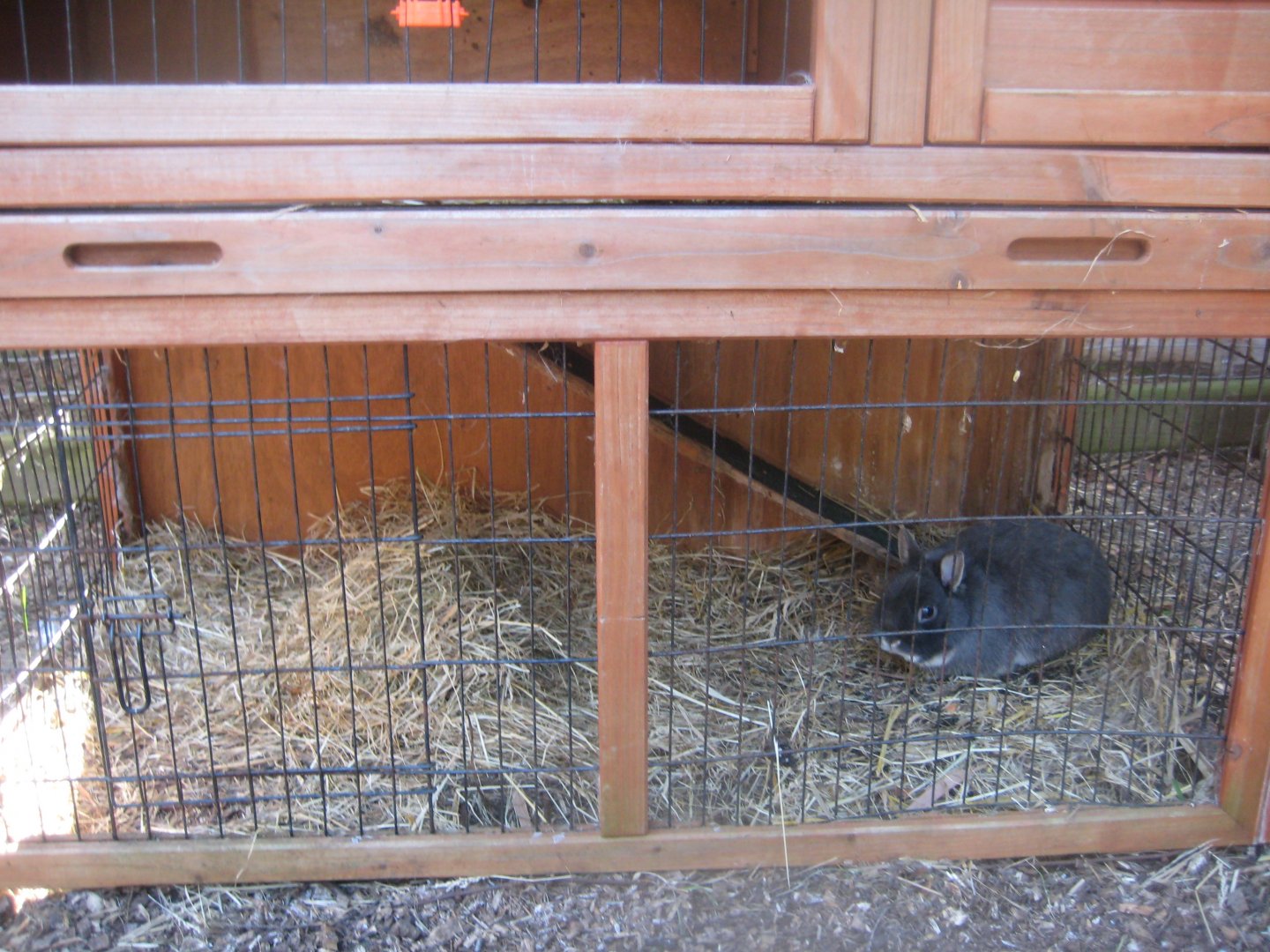 Farm Fun - Rabbit cage