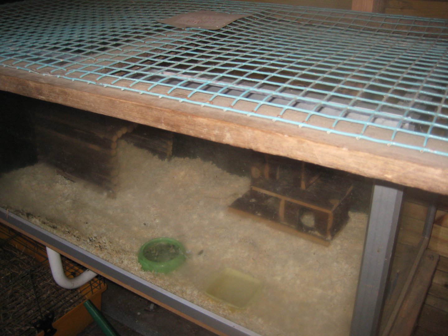 Farm Fun - Rabbit house - Golden hamster exhibit