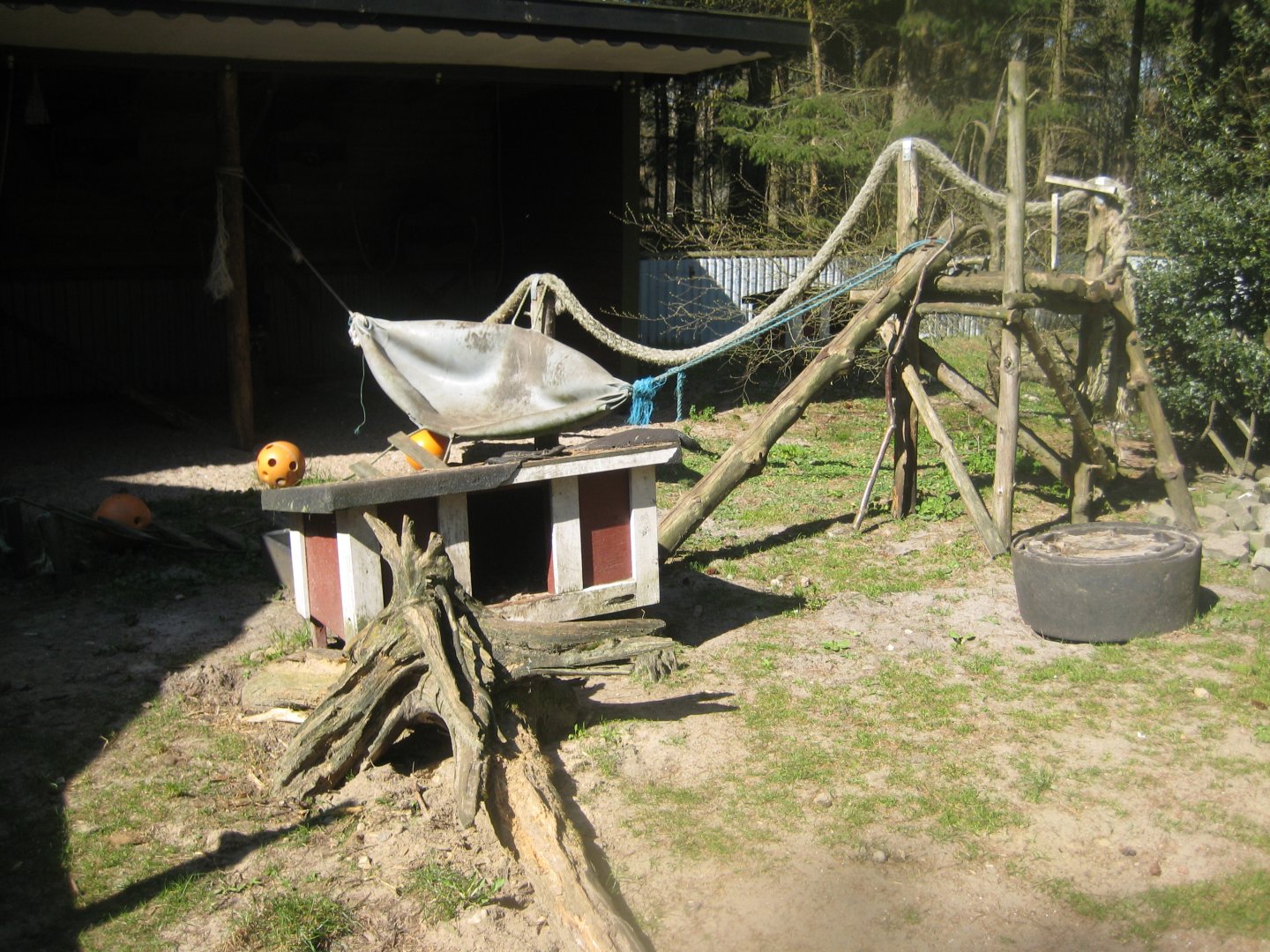 Farm Fun - Raccoon exhibit