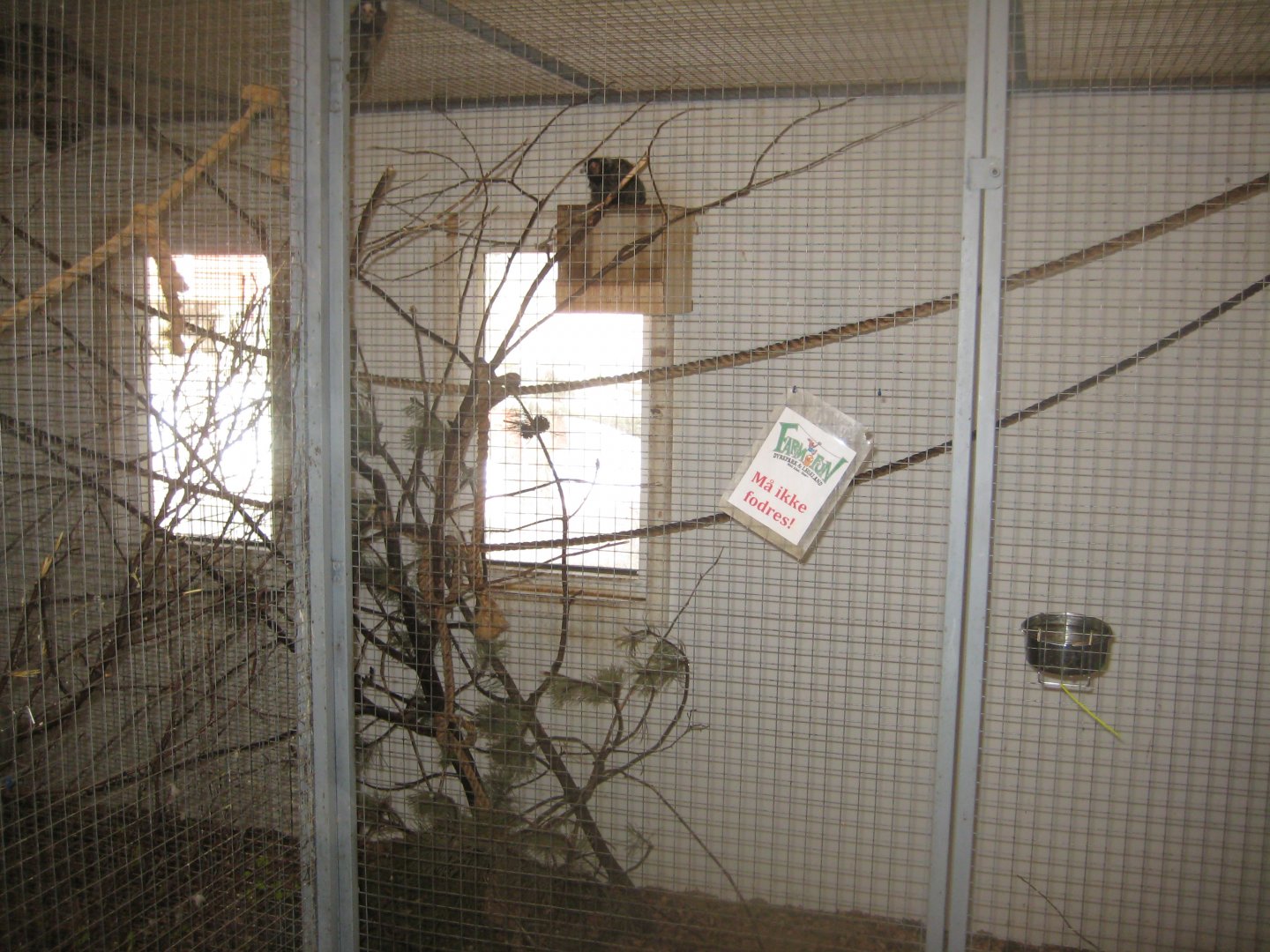 Farm Fun - Small mammals' house - Marmoset exhibit #2