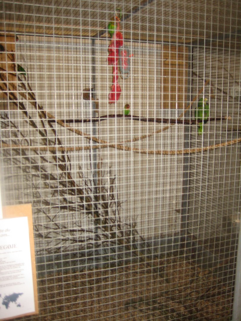 Farm Fun - Small mammals' house - Parrot aviary