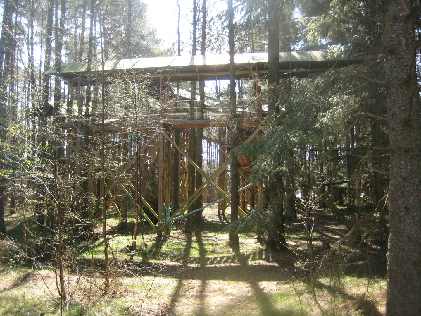 Farm Fun - Treetop walking