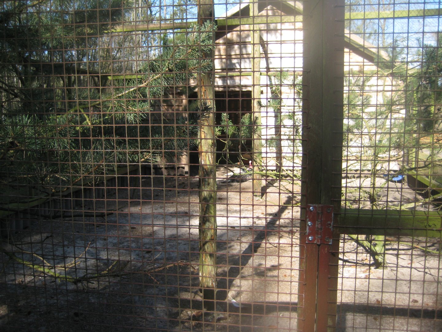 Farm Fun - Turkey aviary