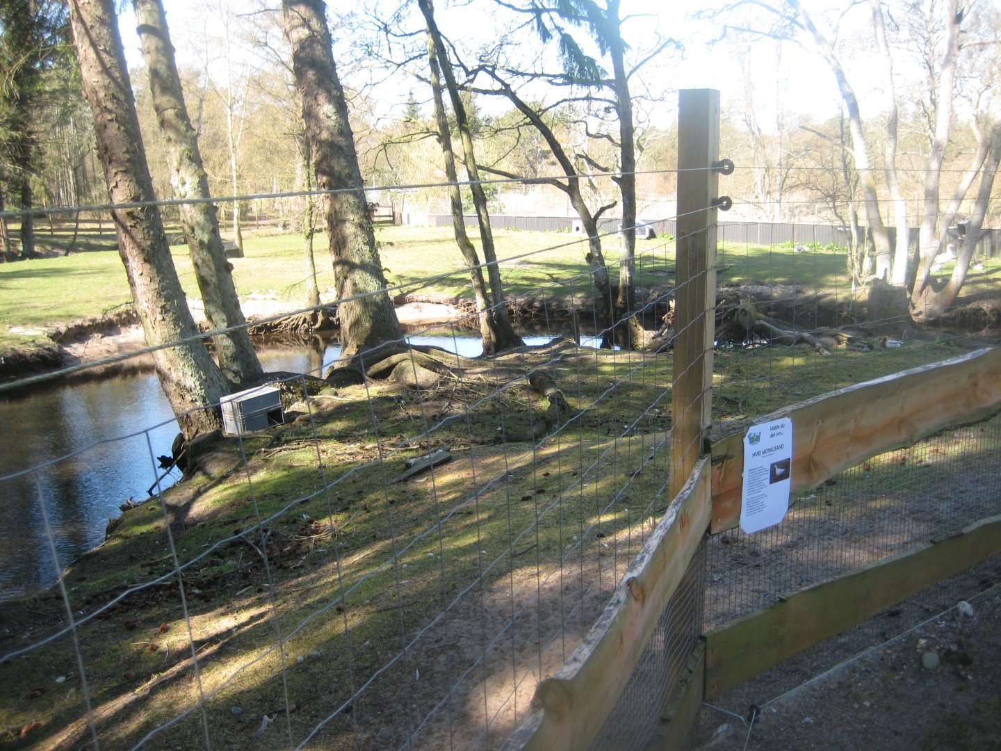 Farm Fun - Waterfowl pond