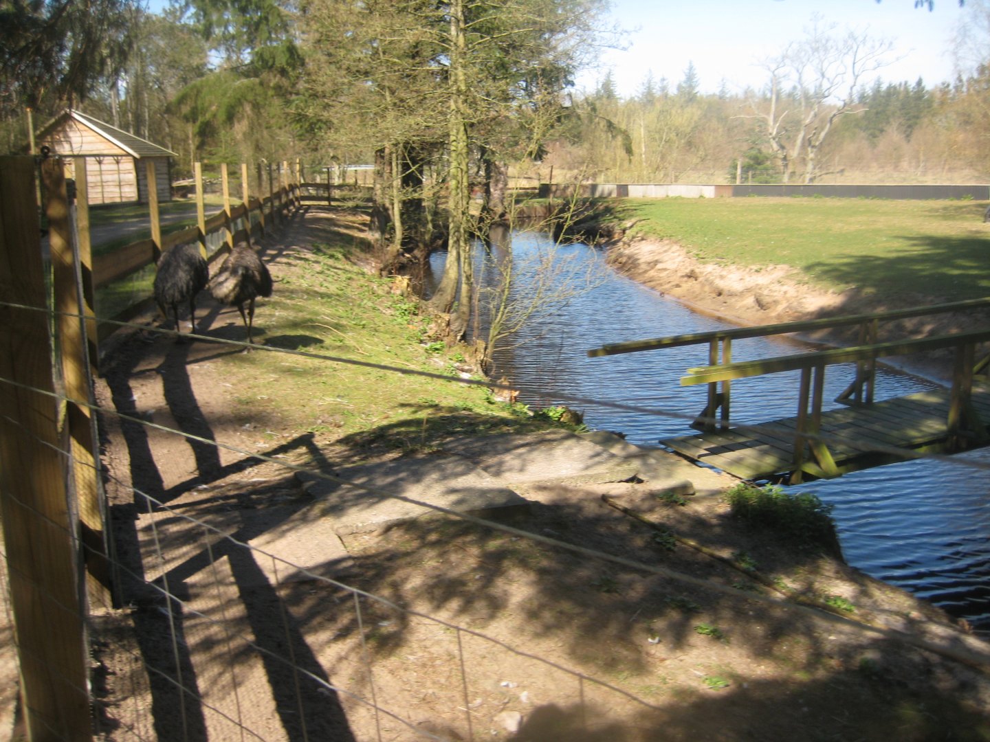 Farm Fun - Waterfowl pond