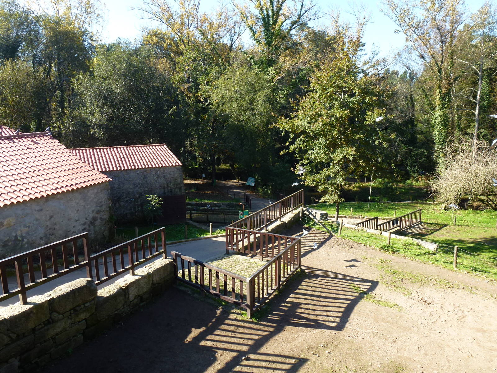 Farm, November 2013.