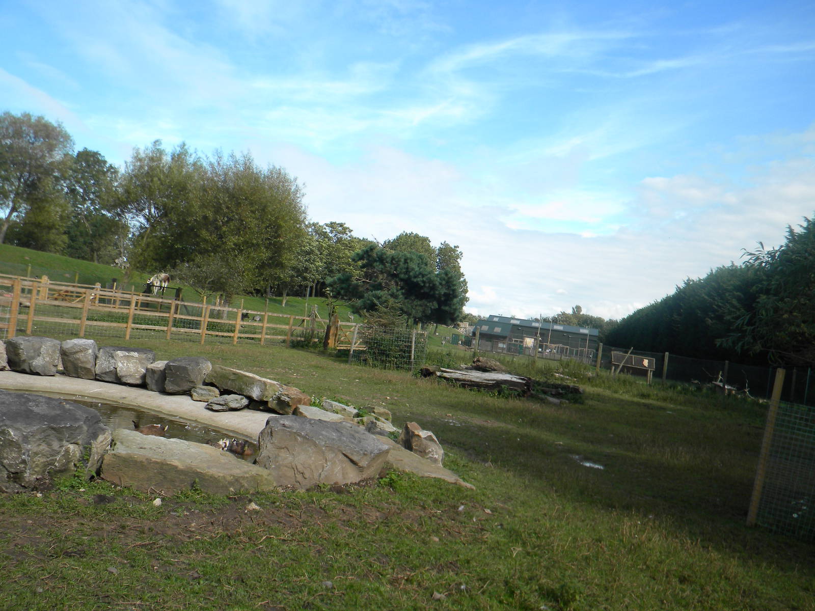 Farm paddock at Blackpool Zoo 07/08/11