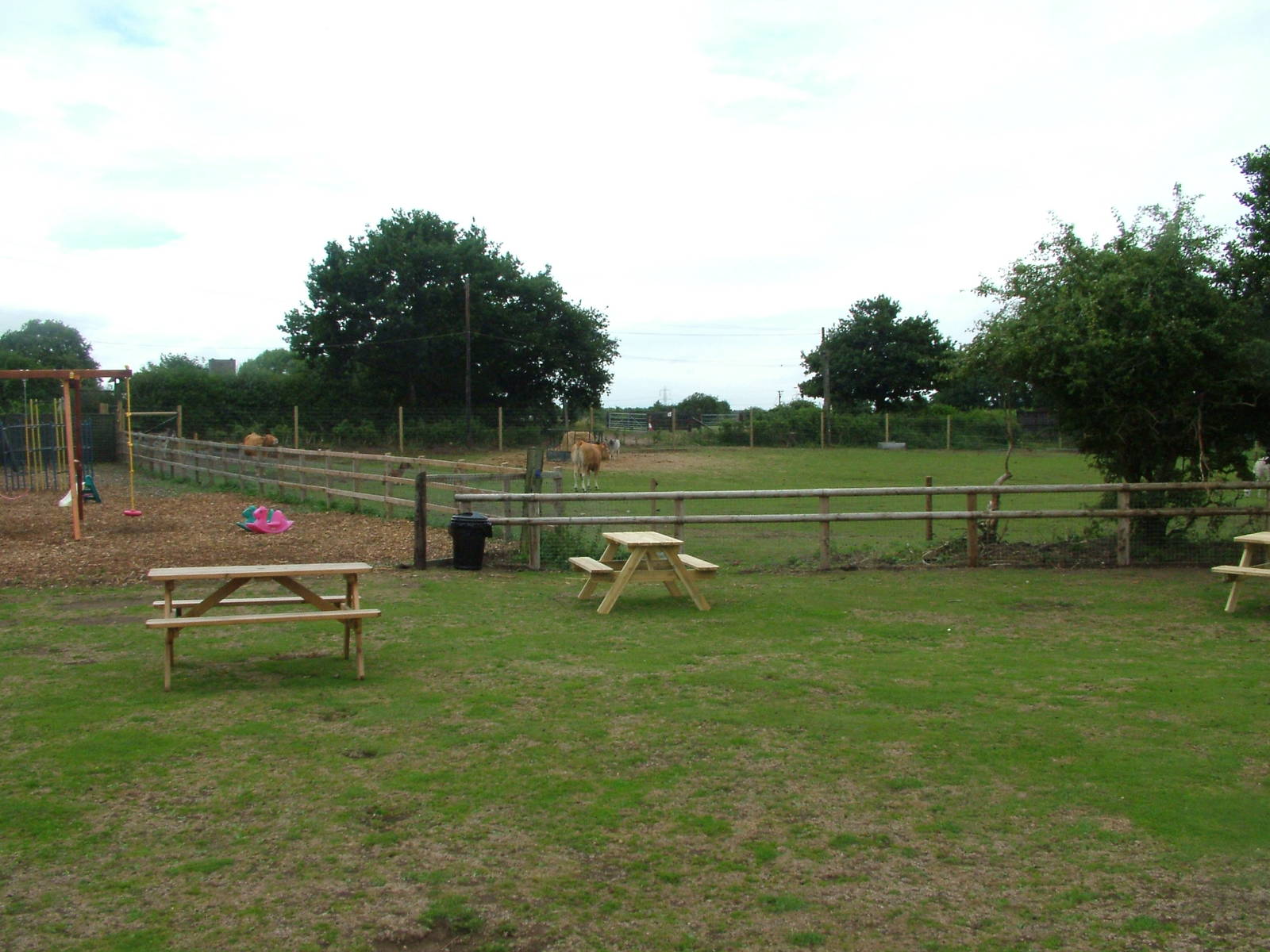 Farm Paddock at Yorkshire WP, 18/07/10