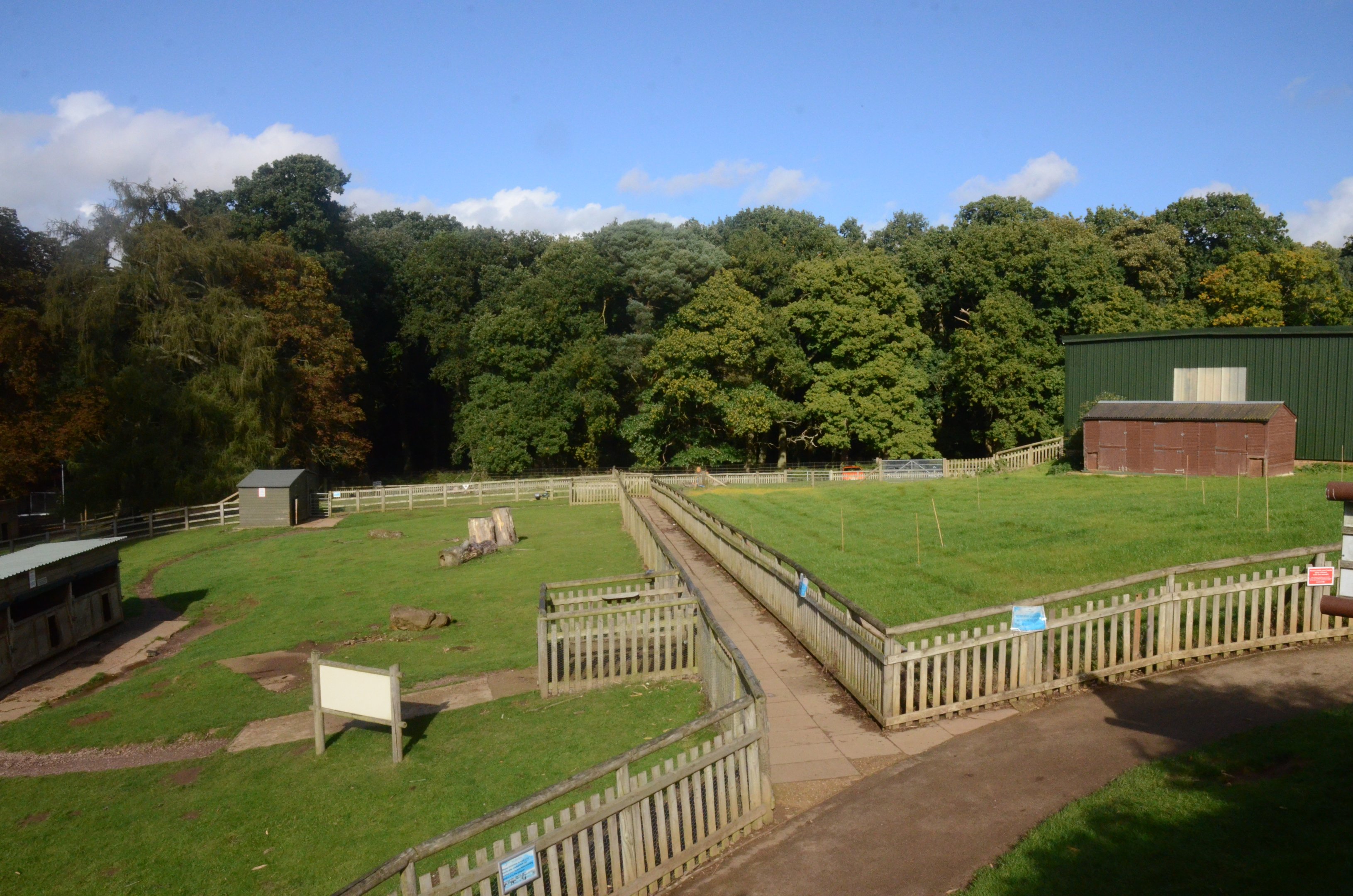 Farm Paddocks and Former River Hog Paddock at Woburn Safari Park, 16/10/16