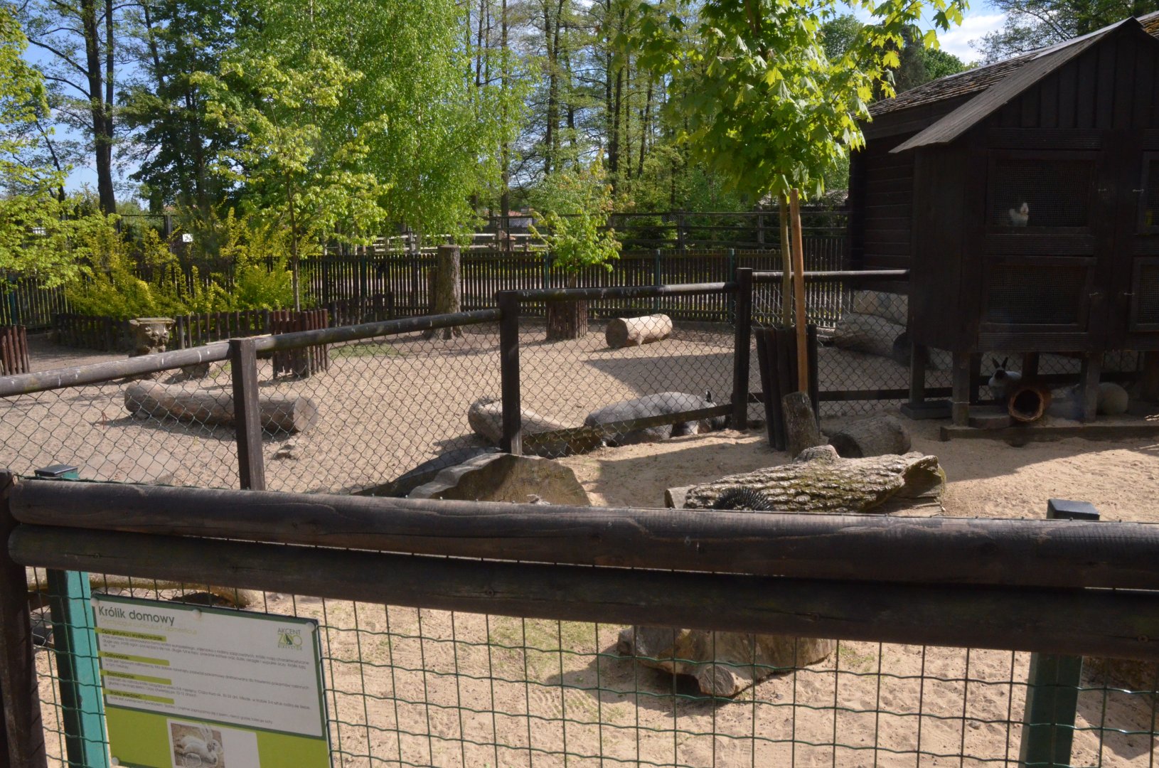 Farm Paddocks at Akcent Zoo Białystok, 08/05/19